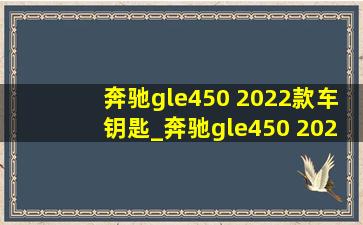 奔驰gle450 2022款车钥匙_奔驰gle450 2022款大改款